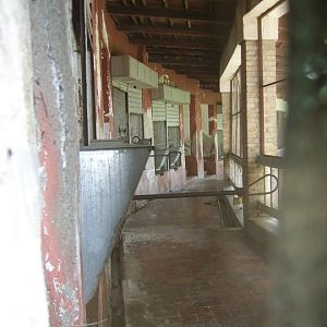 Off-Show Tiger House Zoo di Napoli