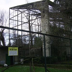 Vulture Aviary Zoo di Napoli 2010