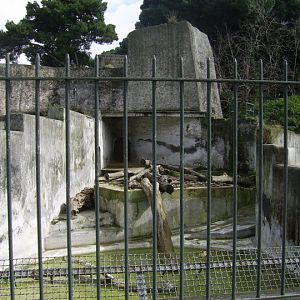European Brown Bear Enclosure Zoo di Napoli 2010
