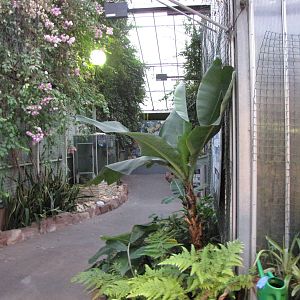 Bugs of Fun open evening