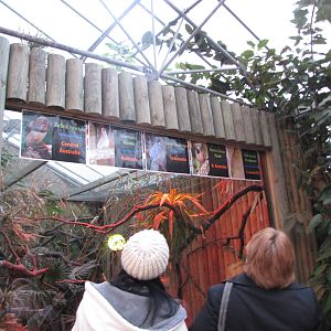 Bugs of Fun open evening