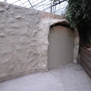 Bugs of Fun open evening