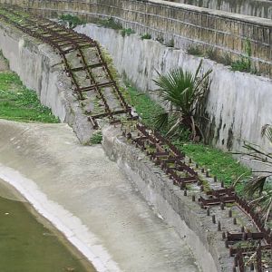Elephant Barrier Zoo di Napoli 2010