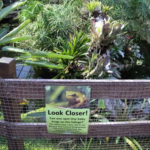 Bugs of Fun open evening