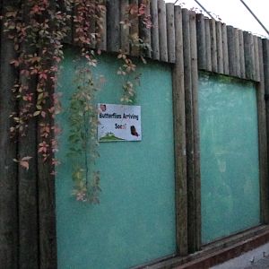 Bugs of Fun open evening