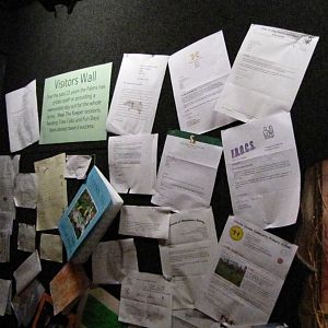 Letters at Bugs of Fun open evening
