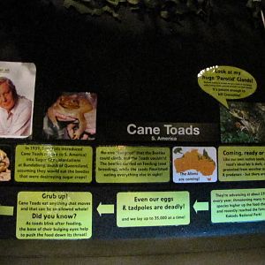 Cane Toad signage
