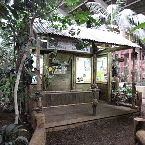 Tropical Realm hut