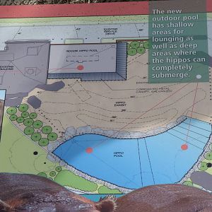 Hippo Exhibit Layout