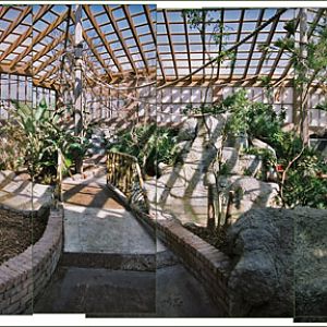 panorama of free flight aviary
