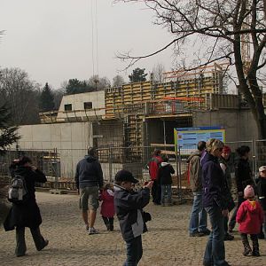 New hippo house contruction site