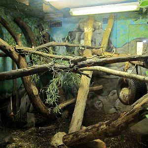 Two-toed Sloth/Three-banded Armadillo Exhibit