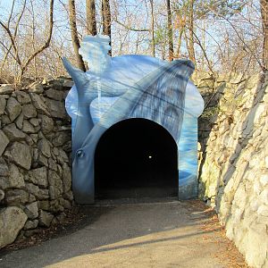 Whale Tunnel