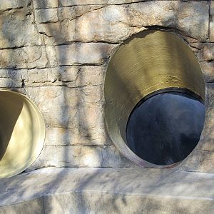 North American River Otter Exhibit Slide