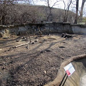Black-tailed Prairie Dog Grotto