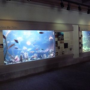 Oregon Coast Exhibits