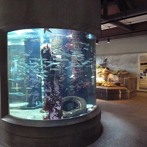 Pier Exhibit