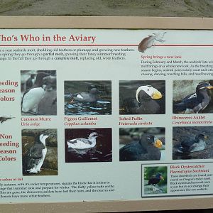 Sea Bird Aviary - Signage