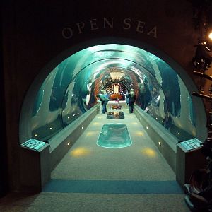 Open Sea Tunnel