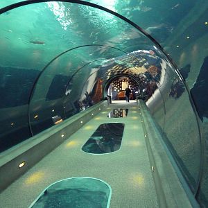 Open Sea Tunnel
