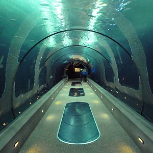 Open Sea Tunnel