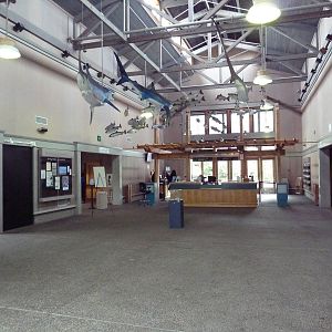 Aquarium Lobby/Entrance Area