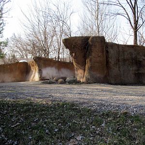 Black Rhinoceros/Sacred Ibis Exhibit