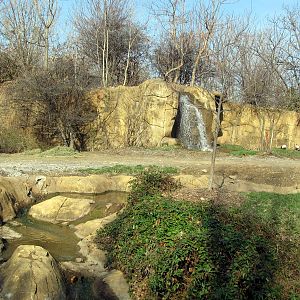 Black Rhinoceros/Sacred Ibis Exhibit