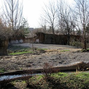 Black Rhinoceros/Sacred Ibis Exhibit
