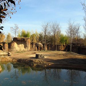First Asian Elephant Exhibit