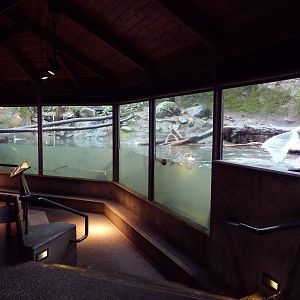 Great Northwest - River Otter Exhibit