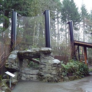 Great Northwest - Cougar Exhibit
