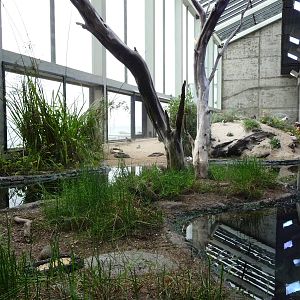 Monterey Bay Aquarium - Shorebirds Exhibit