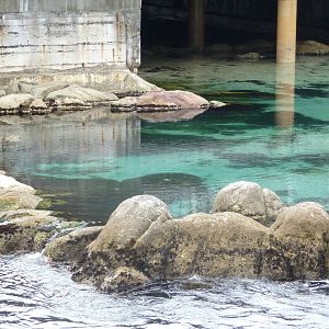 Monterey Bay Aquarium - Outdoor Deck View