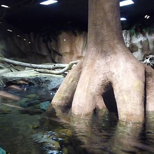 Monterey Bay Aquarium - Wild About Otters