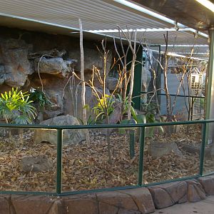 lizard enclosure, Cairns Wildlife Dome