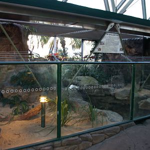 'freshwater billabong' enclosure, Cairns Wildlife Dome
