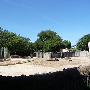 Fort Worth Zoo - Elephant Paddock