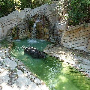 Fort Worth Zoo -  Indian Rhino Exhibit