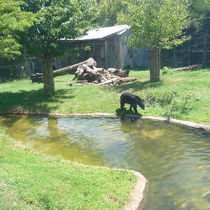 Fort Worth Zoo - Texas Wild!