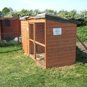 The Exotic Pet Refuge