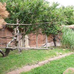 Oklahoma City Zoo - Red Panda Exhibit