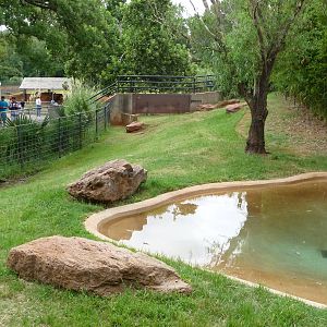 Oklahoma City Zoo - Pygmy Hippo Exhibit