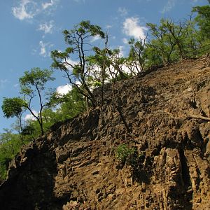 Barbary Sheep enclosure at Prague zoo