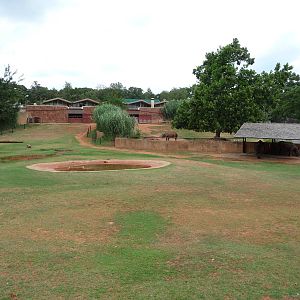 Oklahoma City Zoo - Indian Rhino Paddock