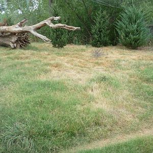 Oklahoma City Zoo - Oklahoma Trails