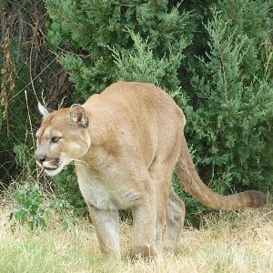 Oklahoma City Zoo - Oklahoma Trails