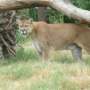 Oklahoma City Zoo - Oklahoma Trails