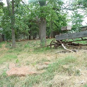 Oklahoma City Zoo - Oklahoma Trails