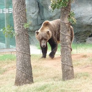 Oklahoma City Zoo - Oklahoma Trails